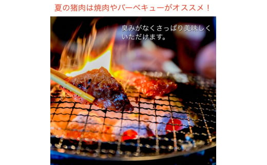 【期間限定】丹波亀岡 天然しし肉 セット 500g《ロース もも 焼肉 BBQ バーベキュー ぼたん鍋 すき焼き 豬 猪肉 ジビエ》|リカーショップ寿屋