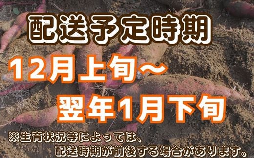 【先行予約】 有機JASさつまいも 紅はるか シルクスイート 食べ比べ 10kg （サイズ混合）