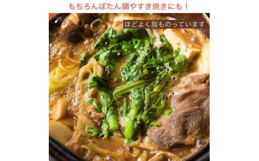 【期間限定】丹波亀岡 天然しし肉 セット 500g《ロース もも 焼肉 BBQ バーベキュー ぼたん鍋 すき焼き 豬 猪肉 ジビエ》|リカーショップ寿屋