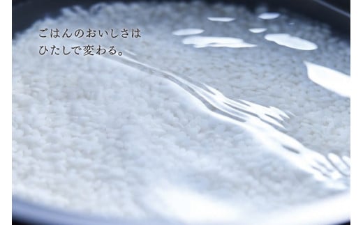 新潟産・高級】東芝真空圧力IHジャー炊飯器 炎匠炊き RC-10VXV(W) 5.5