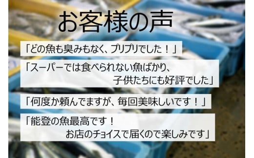 調理ラクラク！能登の魚おまかせセット（2人前） - 石川県能登町