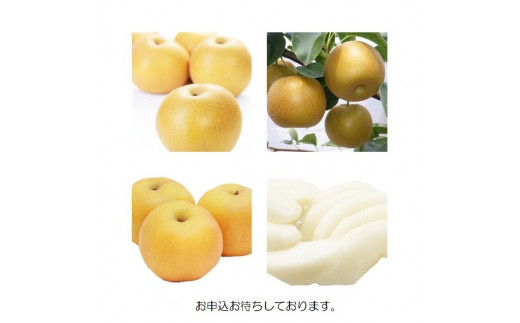 100★送料込み★鳥取県産 新甘泉 梨 5kg