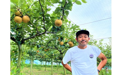 愛知県西尾市のふるさと納税 【数量限定】＜きらり園＞　旬の和梨　何が届くかお楽しみ　　品種おまかせ　5kg・K253-17