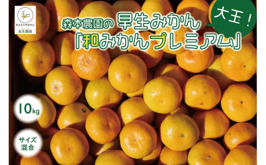 大玉早生みかん「和みかんプレミアム」 10kg  サイズ混合（2L・3L）【北海道・沖縄・一部離島 配送不可】森本農園 産地直送 ギフト ふるさと納税 和歌山県海南市 果物 オレンジ フルーツ 柑橘 みかん 早生 大玉 946520 - 和歌山県海南市