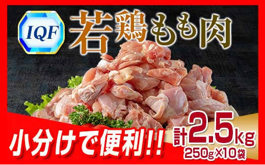 小分けで便利 カット済 若鶏 もも肉 計2.5kg 250g×10袋 肉 鶏 鶏肉 国産 おかず 食品 お肉 チキン 送料無料_BB70-22
