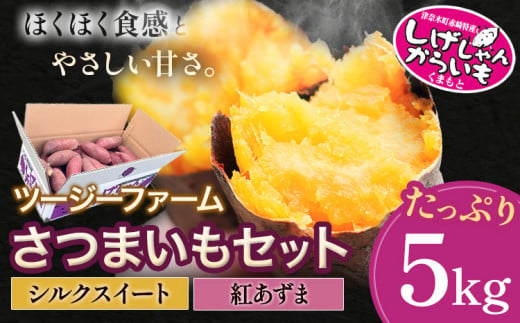  熊本県産 しげしゃんからいも さつまいもセット シルクスイート 紅あずま 5kg ツージーファーム 《10月中旬頃‐11月末頃より出荷予定》熊本県 葦北郡 津奈木町 さつまいも からいも 焼き芋 送料無料 1044253 - 熊本県津奈木町