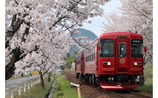 観光列車 「ながら」 ランチプラン 予約 乗車券 （シングル） T42-05  946545 - 岐阜県関市