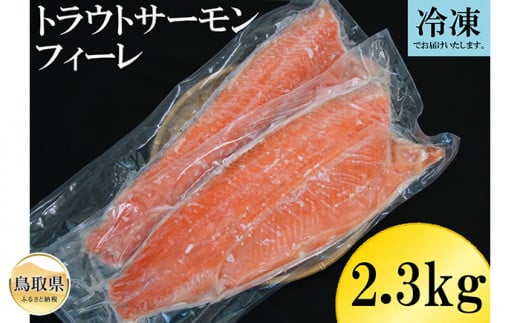 B24-354 冷凍トラウトサーモンフィーレ　2.3kg以上 887453 - 鳥取県鳥取県庁