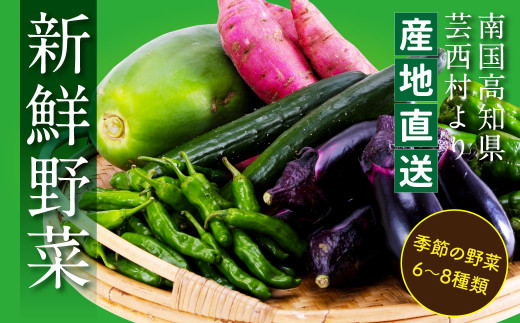 朝どれ!野菜の詰合せ/芸西村で採れた新鮮な野菜6〜8種類をお届けします。