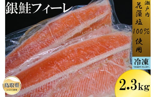 B24-353 冷凍定塩 銀鮭フィーレ 2.3kg以上 880813 - 鳥取県鳥取県庁