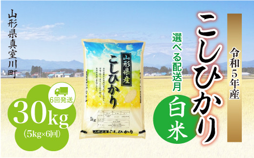 配送時期が選べて便利な定期便＞ 令和5年産 真室川町 【白米