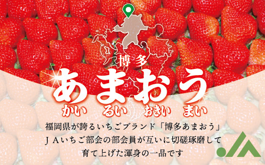 【2024年3月上旬発送開始】博多あまおう 約280g×6パック(春) あまおう いちご 苺 果物 フルーツ 福岡県産 博多