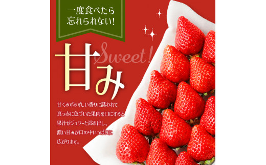 【1月下旬より順次発送】農家直送 朝採り新鮮いちご【博多あまおう】約270g×4パック