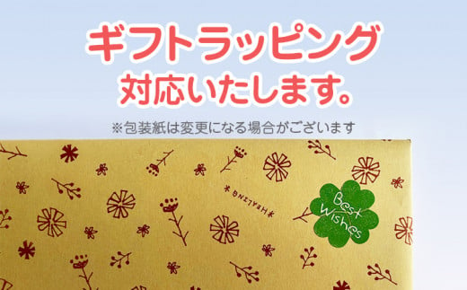 福岡県田川市のふるさと納税 【ギフト用】木のおもちゃ、出産祝いセットＳＲ