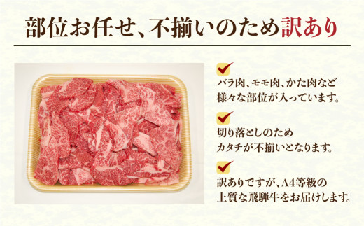 発送月が選べる】【 訳あり 】飛騨牛 焼肉用 切り落とし 肉 1㎏ 25000