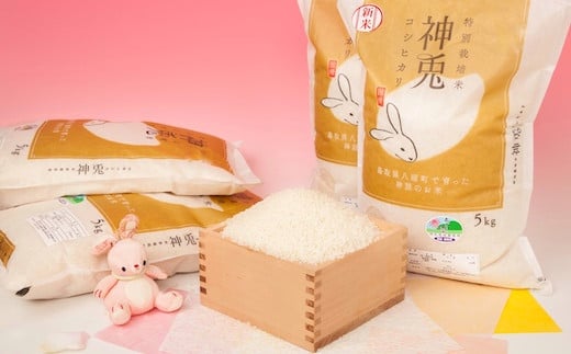 特別栽培米コシヒカリ20kg 298492 - 鳥取県八頭町