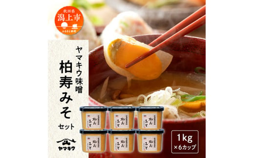 柏寿味噌1㎏カップ×6個セット