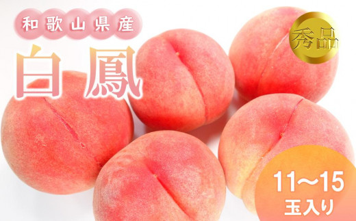 和歌山県産 白鳳 桃 11～15玉入り秀品［2026年6月下旬以降発送］［MG90］ 762544 - 和歌山県和歌山市