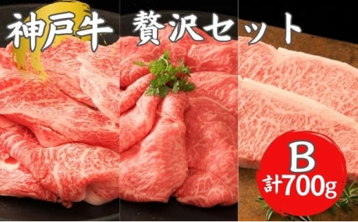 神戸牛 贅沢セットB 計700g 牛肉 和牛 お肉 ギフト ステーキ すき焼き しゃぶしゃぶ 赤身 ブランド牛 冷凍