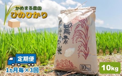 【定期便3回】 かめまる農園の「ひのひかり」10kg×3回 323963 - 熊本県玉名市