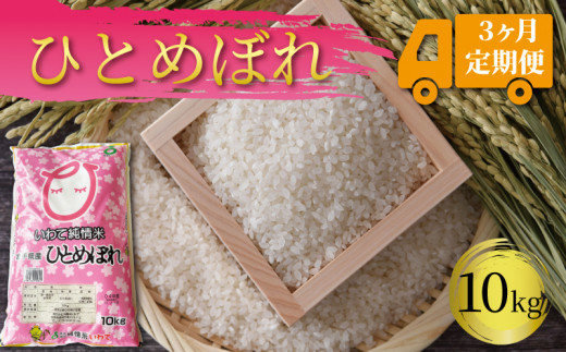 米 定期便 10kg 3ヶ月 精米 一等米 ひとめぼれ 岩手県産 ご飯 白米 555227 - 岩手県大船渡市