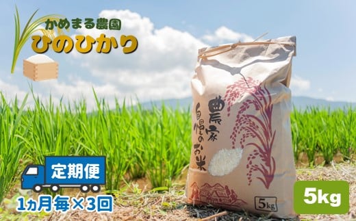 定期便3回】 かめまる農園の「ひのひかり」5kg×3回 - 熊本県玉名市