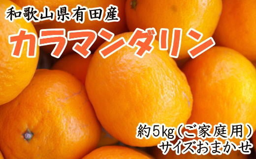 【ご家庭用】和歌山県有田産カラマンダリン約5kg（サイズおまかせ）※2024年4月上旬～5月中旬頃に順次発送予定（お届け日指定不可） 948732 - 和歌山県太地町