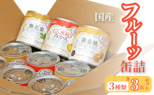M08-0002_国産フルーツ缶詰　3種類各3缶セット 245886 - 香川県三豊市