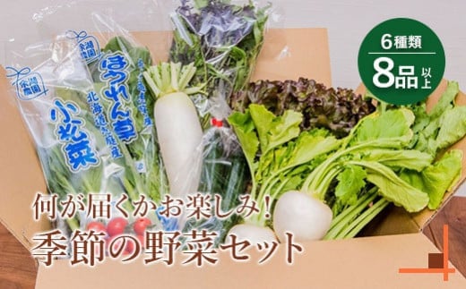 北海道産季節の野菜詰め合わせ 6種類8品