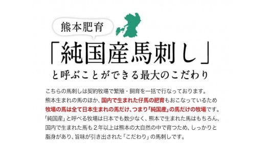 熊本県津奈木町のふるさと納税 馬刺し 上赤身 ブロック 国産 熊本肥育 冷凍 生食用 たれ付き(10ml×6袋) 100g×6セット 肉 絶品 牛肉よりヘルシー 馬肉 平成27年28年 農林水産大臣賞受賞 熊本県 葦北郡 津奈木町《10月中旬-12月末頃出荷》