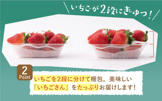佐賀県白石町のふるさと納税 【先行予約】こだわり いちごさん 約230g×4パック（計920g以上）【高主いちご園】 [ICI001]