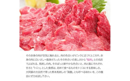 熊本県津奈木町のふるさと納税 馬刺し 上赤身 ブロック 国産 熊本肥育 冷凍 生食用 たれ付き(10ml×6袋) 100g×6セット 肉 絶品 牛肉よりヘルシー 馬肉 平成27年28年 農林水産大臣賞受賞 熊本県 葦北郡 津奈木町《10月中旬-12月末頃出荷》