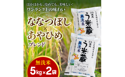 北海道米う米蔵無洗米５ｋｇ×２