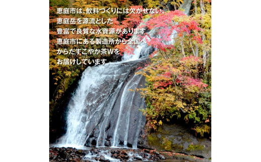 アイテムID:369161の画像6枚目