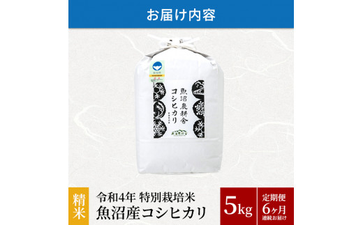 №5762-0541]定期便6ヶ月連続お届け 特別栽培米魚沼産コシヒカリ（精米