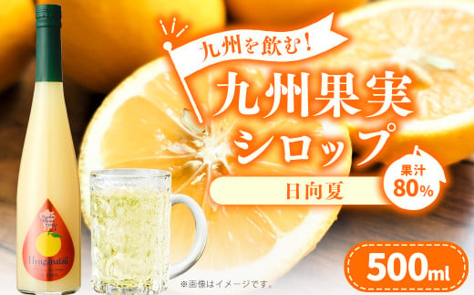 九州を飲む！九州果実 シロップ 日向夏 500ml 1本 約25杯分 フルーツ 果物 ジュース