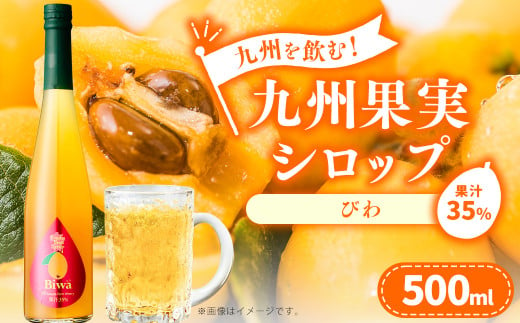 九州を飲む！九州果実 シロップ  びわ 500ml 1本 約25杯分 フルーツ 果物 ジュース