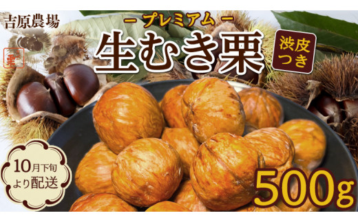 AS-39 かさまの熟成栗 むき栗 ３６０ｇ - 茨城県笠間市｜ふるさと