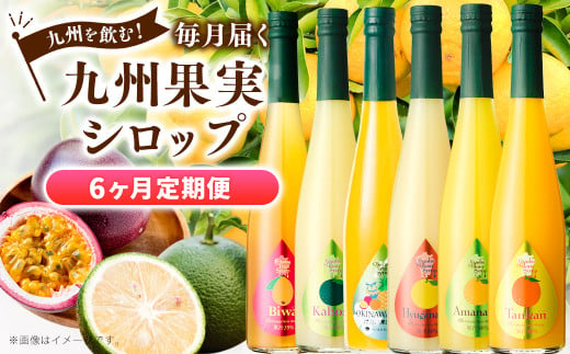 【6ヶ月定期便】 九州を飲む！毎月届く 九州果実シロップ 500ml×1本×6回 6種 果物 フルーツ ジュース 