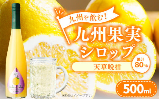 九州を飲む！九州果実 シロップ 天草晩柑 果物 フルーツ 柑橘 ジュース