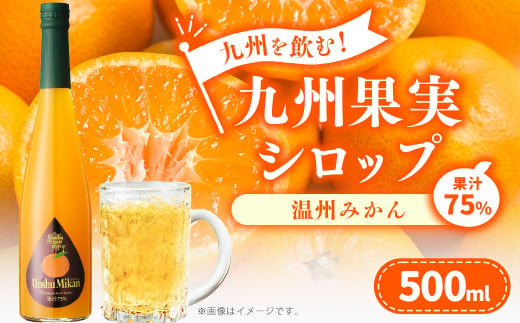 九州を飲む！九州果実 シロップ 温州みかん 500ml 1本 約25杯分 フルーツ 果物 ジュース