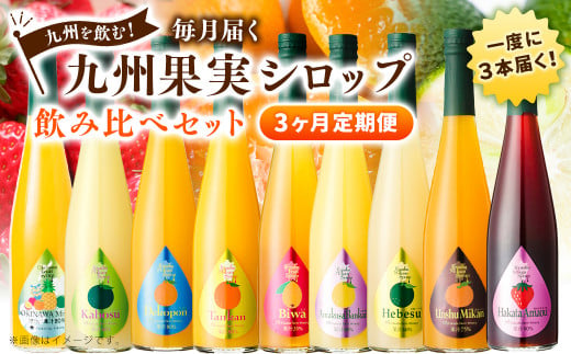 【3ヶ月定期便】 九州を飲む！毎月届く 九州果実シロップ 飲み比べセット 500ml×3本×3回 果物 フルーツ ジュース 