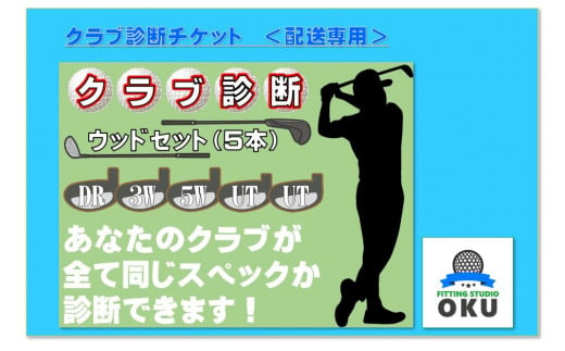 ゴルフクラブ 診断チケット　ウッドセット　(5本)　配送受付 959890 - 千葉県君津市