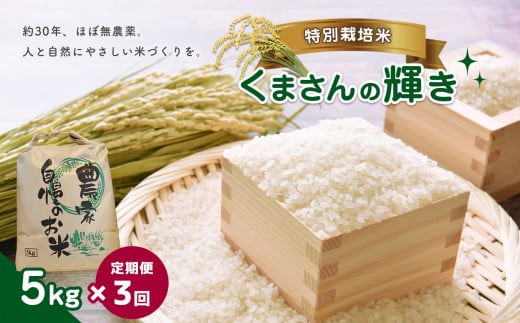 数量限定　新米　熊本県産　無農薬米　くまさんの輝き　20kg