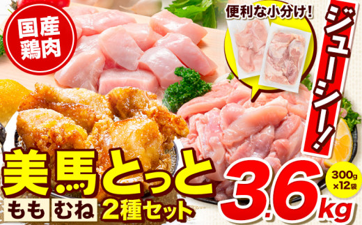 美馬とっと むね肉 もも肉 セット 約3.6kg 約300g×12パック《30日以内