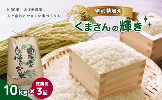 特別栽培米 くまさんの輝き 10kg(定期便3回) | 熊本県 熊本 くまもと 和水町 なごみまち なごみ お米 白米 特別栽培 減農薬 減化学肥料 農薬 栽培期間中不使用 単一原料米 定期便 定期 3回