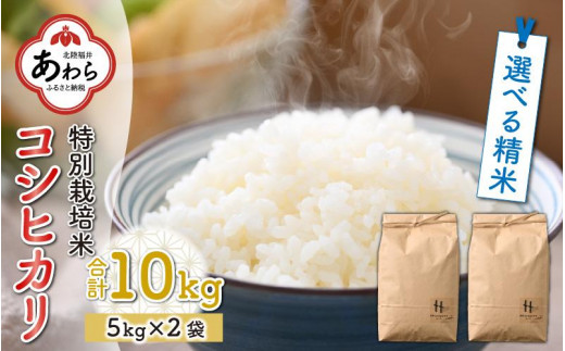 【玄米】【令和5年産新米】特別栽培米 コシヒカリ 10kg