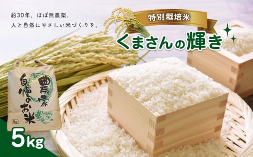 特別栽培米 くまさんの輝き 5kg | 熊本県 熊本 くまもと 和水町 なごみまち なごみ お米 白米 特別栽培 減農薬 減化学肥料 農薬 栽培期間中不使用 単一原料米