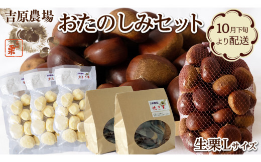 完熟栗 お楽しみ セット 生栗 1kg Lサイズ 生むき栗 3パック 焼き栗 2袋 詰め合わせ くり クリ 熟成 秋 旬 冬 正月 [CX014ci]