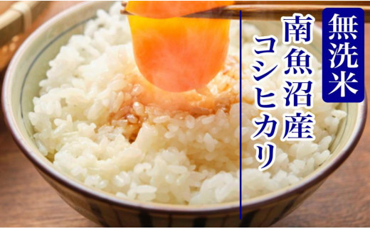 新米予約・令和5年産】定期便12ヶ月：無洗米5kg南魚沼産コシヒカリ